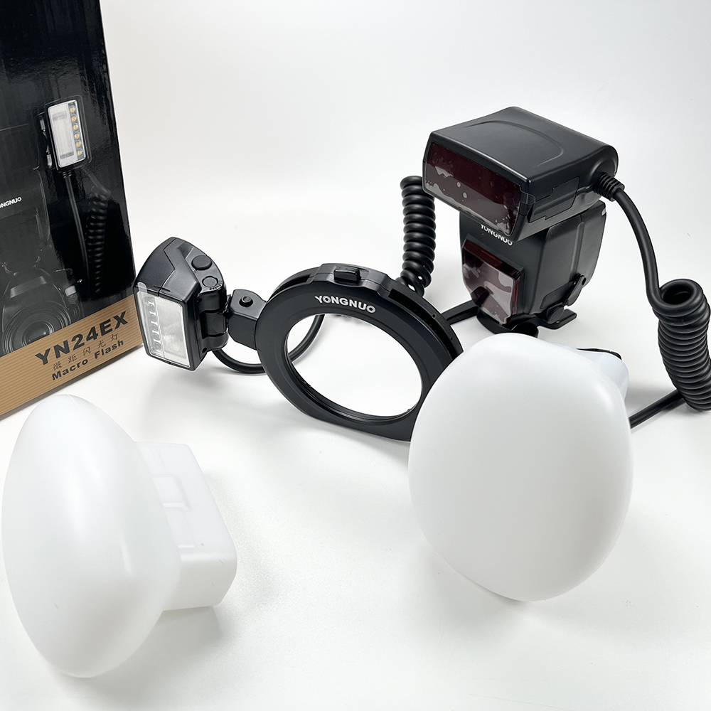 2 Buah Softbox Silikon Dental  - Photography Natural Lighting ulasan dan harga